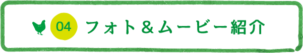 フォト＆ムービー紹介